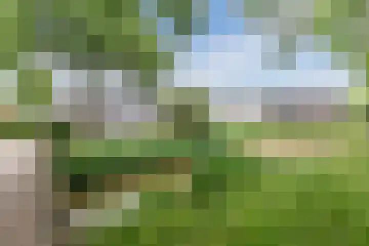 Jan Steenlaan 31 Oosterhout thumbnail 45