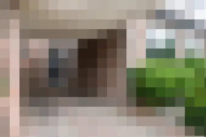 Jan Steenlaan 31 Oosterhout thumbnail 7