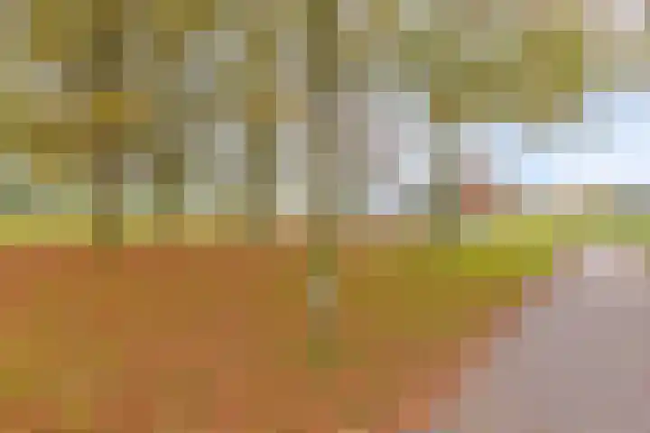Jan Steenlaan 32 Voorschoten thumbnail 27