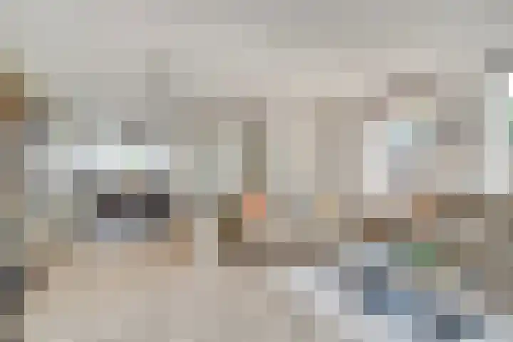 Jan Steenlaan 4 f Voorschoten thumbnail 13