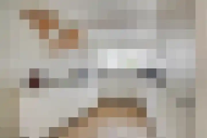 Jan Steenlaan 4 f Voorschoten thumbnail 14