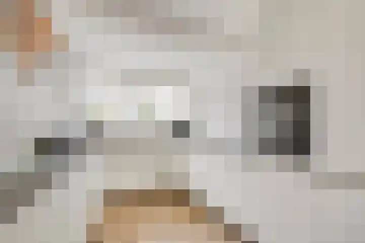 Jan Steenlaan 4 f Voorschoten thumbnail 16