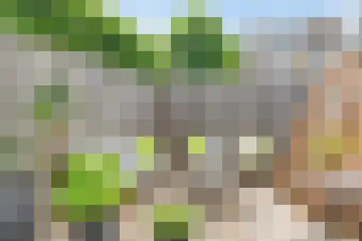 Jan Steenlaan 4 f Voorschoten thumbnail 19