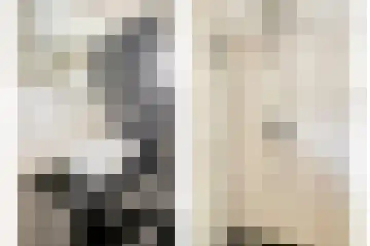 Jan Steenlaan 4 f Voorschoten thumbnail 22