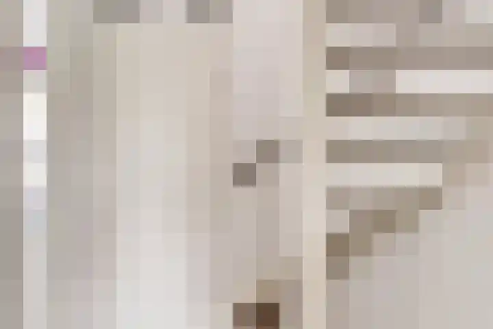 Jan Steenlaan 4 f Voorschoten thumbnail 30
