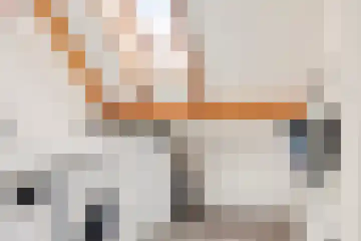 Jan Steenlaan 4 f Voorschoten thumbnail 33