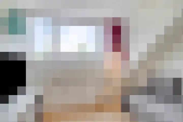 Jan Steenlaan 4 f Voorschoten thumbnail 38