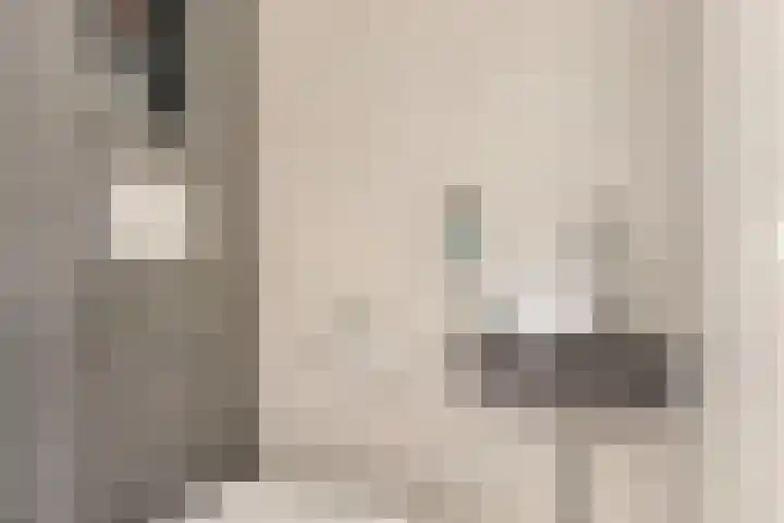 Jan Steenlaan 4 f Voorschoten thumbnail 5