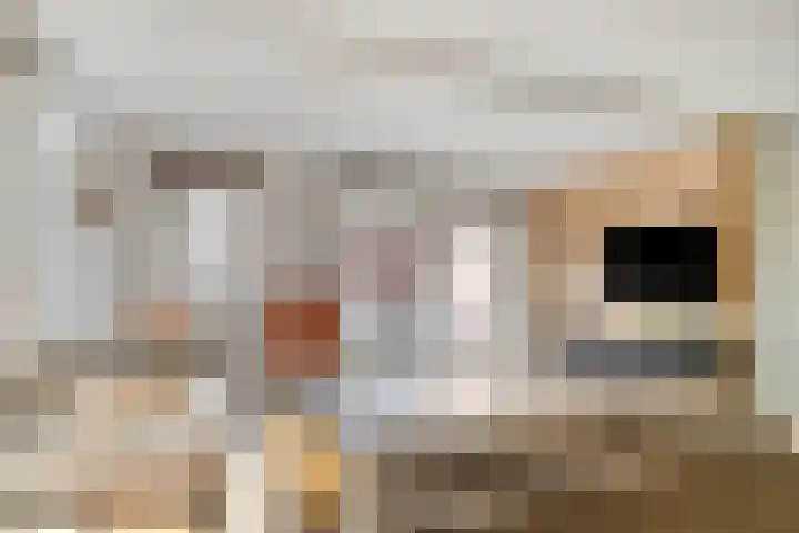 Jan Steenlaan 4 f Voorschoten thumbnail 8