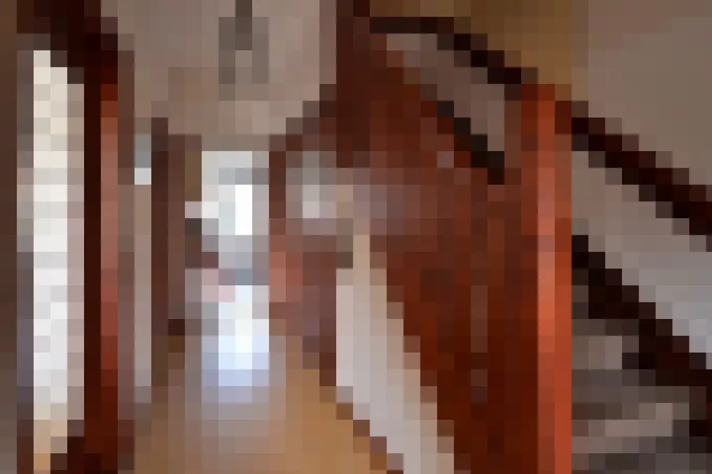 Jan Steenlaan 5 Hilversum thumbnail 11