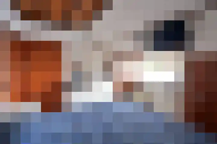 Jan Steenlaan 5 Hilversum thumbnail 13