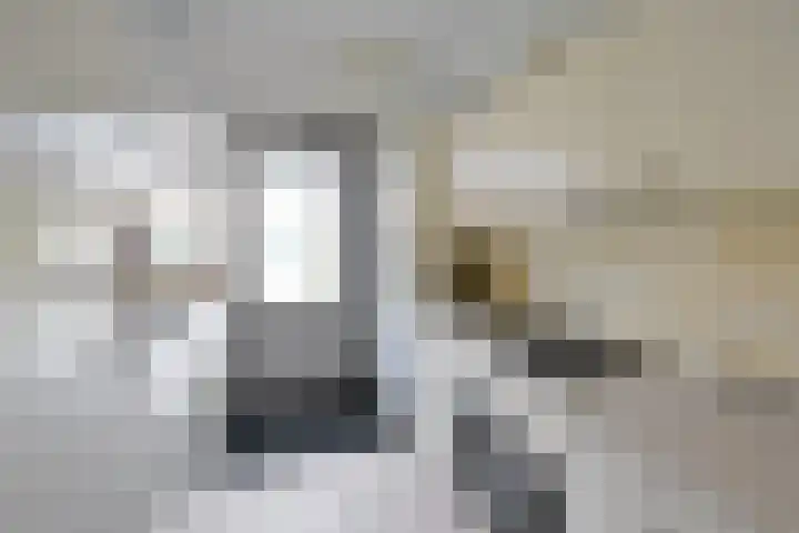 Jan Steenlaan 5 Hilversum thumbnail 7