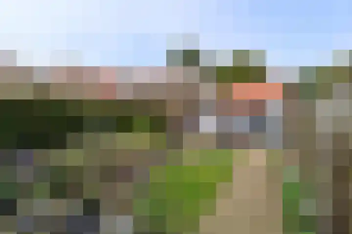Jan Steenlaan 5 Hilversum thumbnail 9