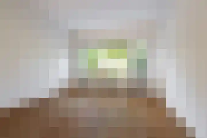 Jan Steenlaan 50 Naarden thumbnail 15