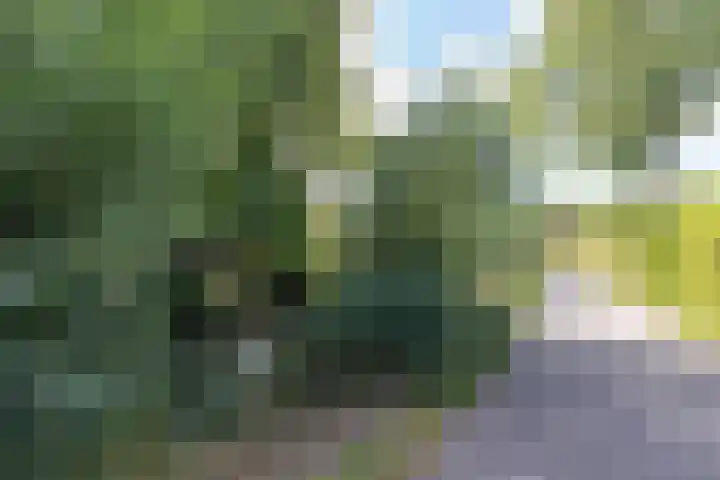 Jan Steenlaan 50 Naarden thumbnail 44
