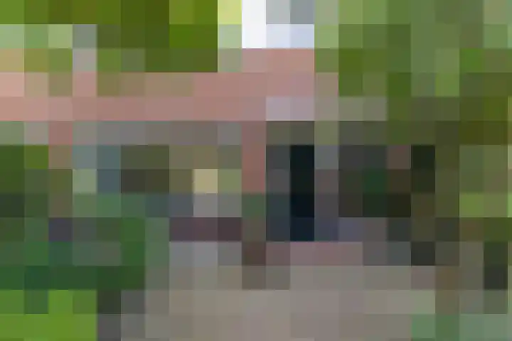 Jan Steenlaan 50 Naarden thumbnail 5