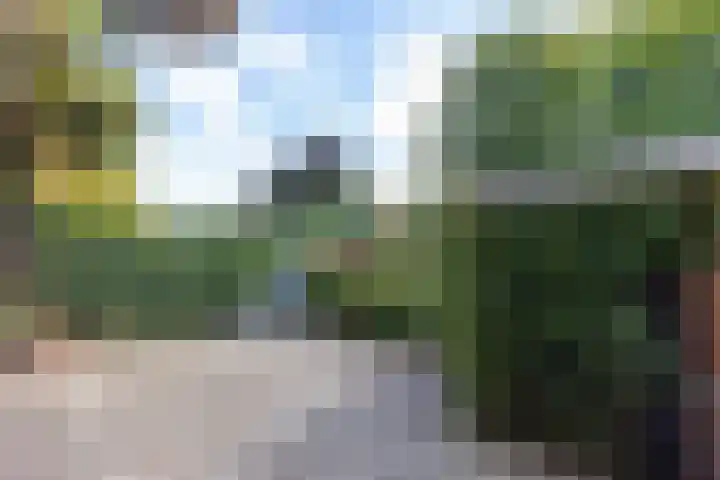 Jan Steenlaan 50 Naarden thumbnail 51