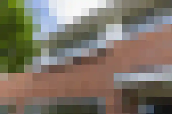Jan Steenlaan 50 Naarden thumbnail 7