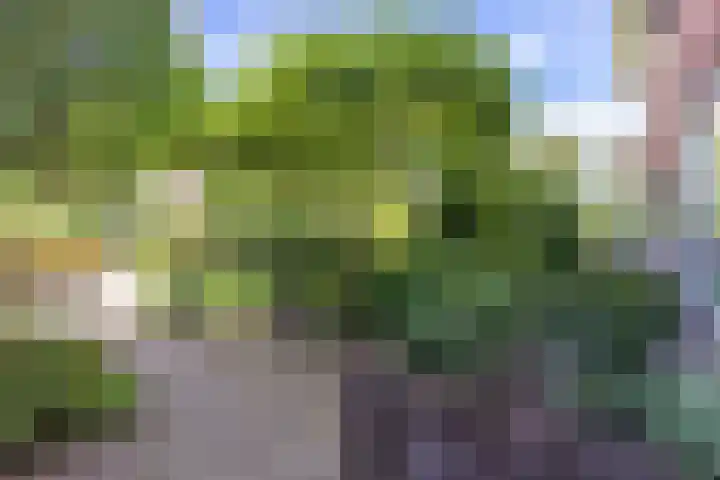 Jan Steenlaan 50 Naarden thumbnail 8