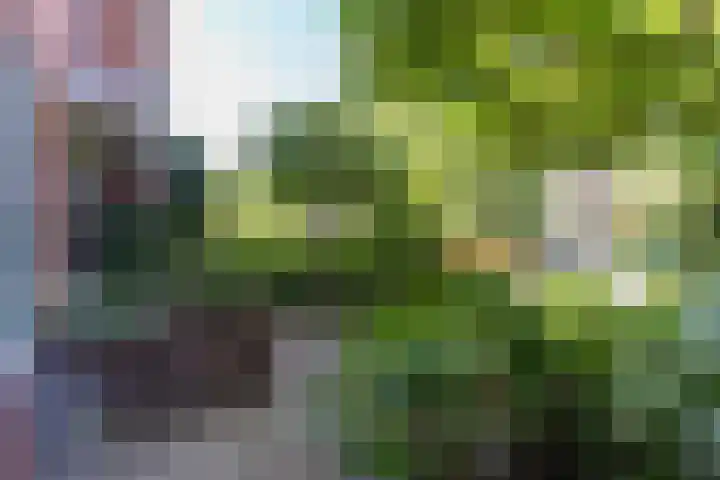 Jan Steenlaan 50 Naarden thumbnail 9