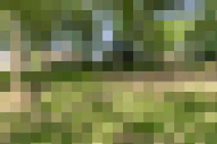 Jan Steenlaan 53 Oosterhout thumbnail 25