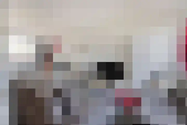 Jan Steenlaan 53 Oosterhout thumbnail 8