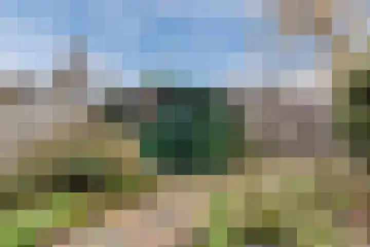 Jan Steenlaan 58 Oosterhout thumbnail 31