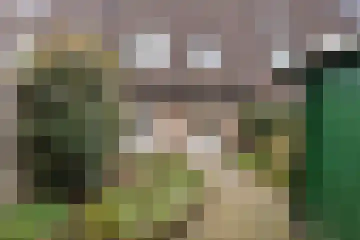 Jan Steenlaan 58 Oosterhout thumbnail 33
