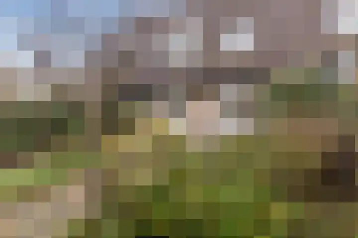 Jan Steenlaan 58 Oosterhout thumbnail 34