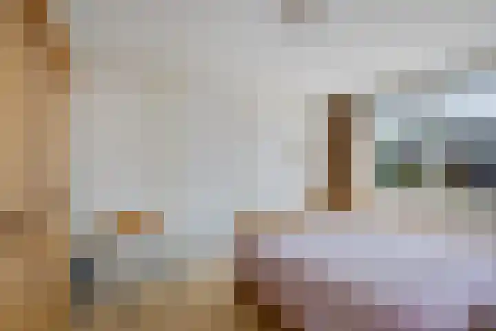 Jan Steenlaan 6 Musselkanaal thumbnail 20