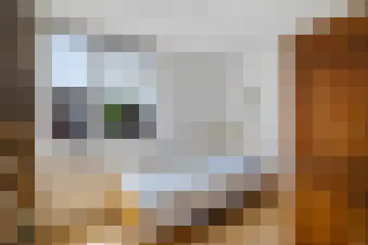 Jan Steenlaan 6 Musselkanaal thumbnail 22