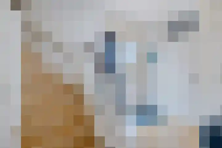 Jan Steenlaan 6 Musselkanaal thumbnail 4