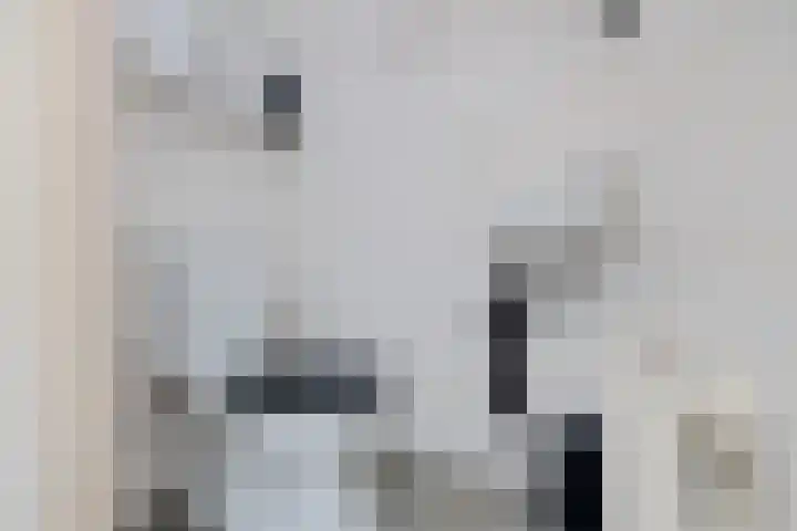 Jan Steenlaan 6 Musselkanaal thumbnail 6