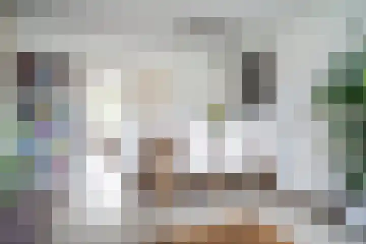 Jan Steenlaan 6 Voorschoten thumbnail 10