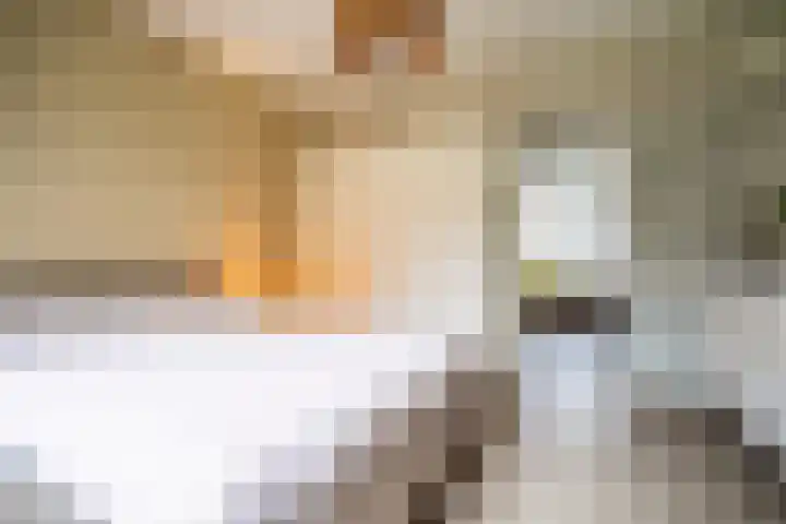 Jan Steenlaan 6 Voorschoten thumbnail 14