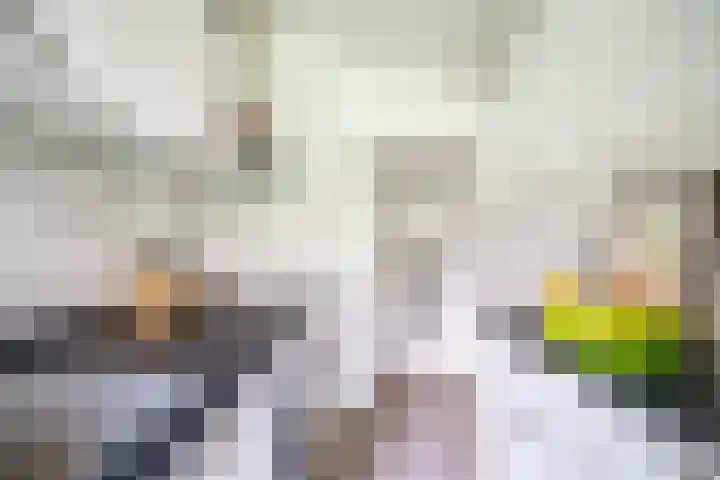 Jan Steenlaan 6 Voorschoten thumbnail 17