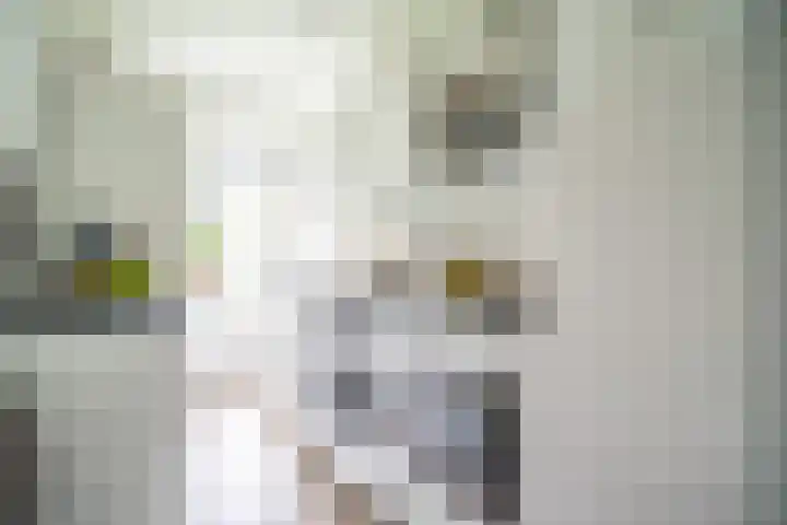 Jan Steenlaan 6 Voorschoten thumbnail 18