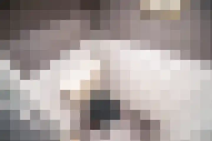 Jan Steenlaan 6 Voorschoten thumbnail 22