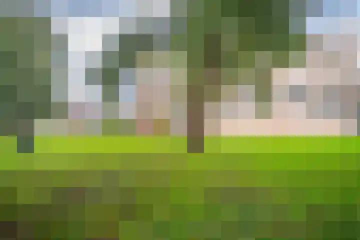 Jan Steenlaan 6 Voorschoten thumbnail 27