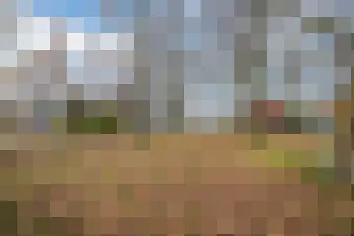 Jan Steenlaan 6 Voorschoten thumbnail 29