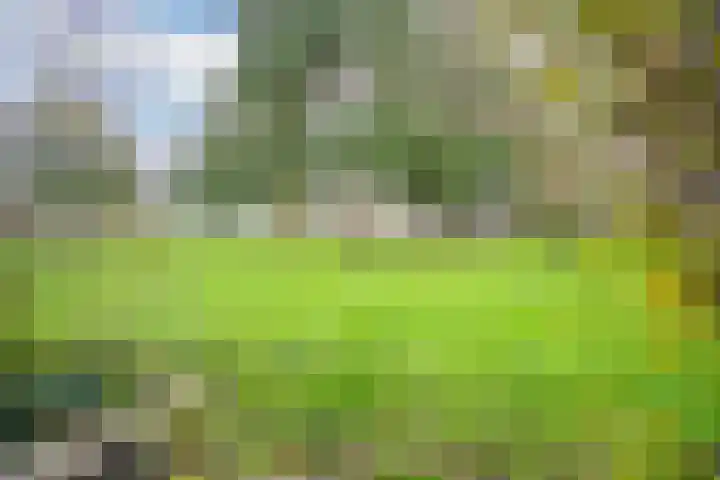 Jan Steenlaan 6 Voorschoten thumbnail 31