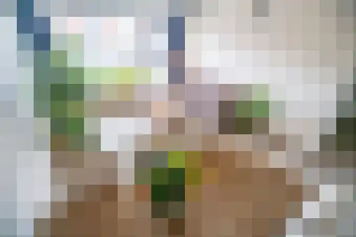 Jan Steenlaan 6 Voorschoten thumbnail 5