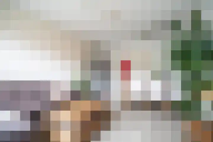 Jan Steenlaan 6 Voorschoten thumbnail 8