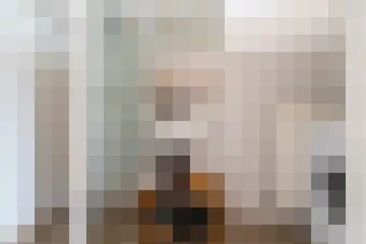 Jan Steenlaan 61 02 Veenendaal thumbnail 12