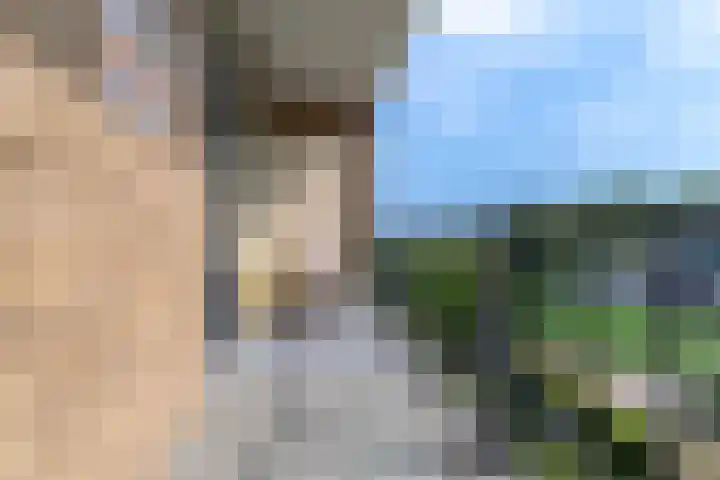 Jan Steenlaan 61 02 Veenendaal thumbnail 15