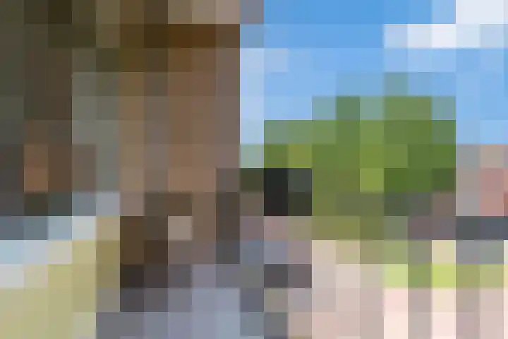 Jan Steenlaan 61 02 Veenendaal thumbnail 17