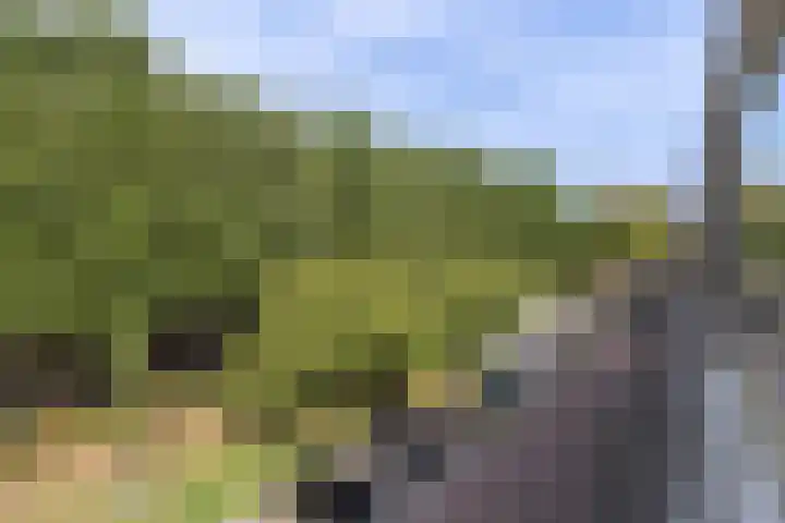 Jan Steenlaan 61 02 Veenendaal thumbnail 19