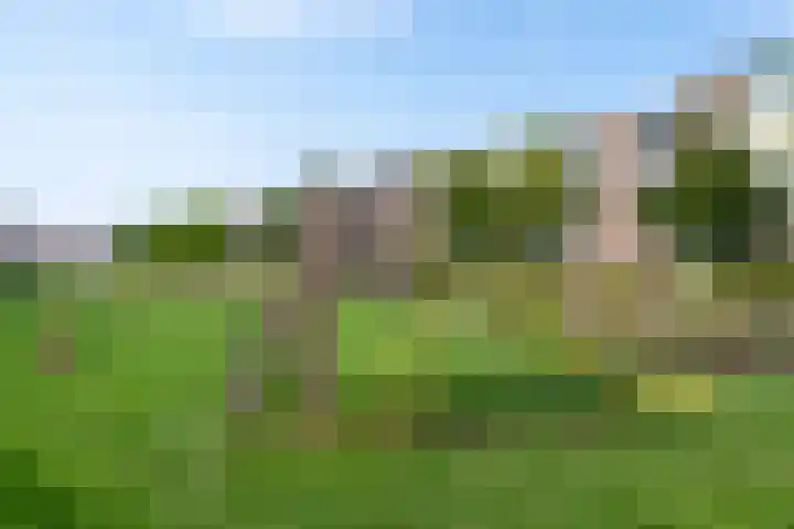 Jan Steenlaan 61 02 Veenendaal thumbnail 23