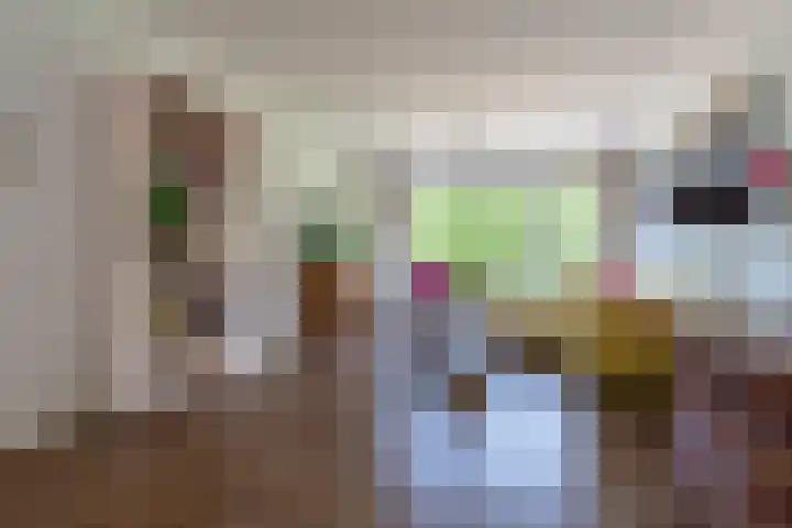 Jan Steenlaan 61 02 Veenendaal thumbnail 4