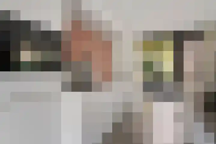 Jan Steenlaan 8 Bilthoven thumbnail 11